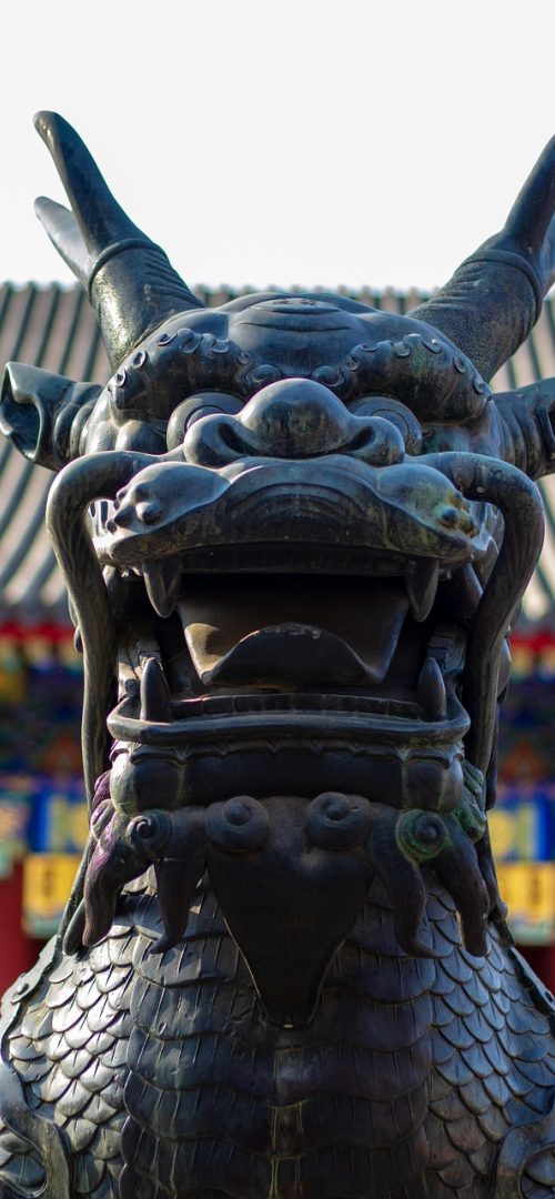 支付宝支付 App 首页宫格界面，蓝色功能图标整齐排列，用户清晨在厨房里查看今日待缴账单
